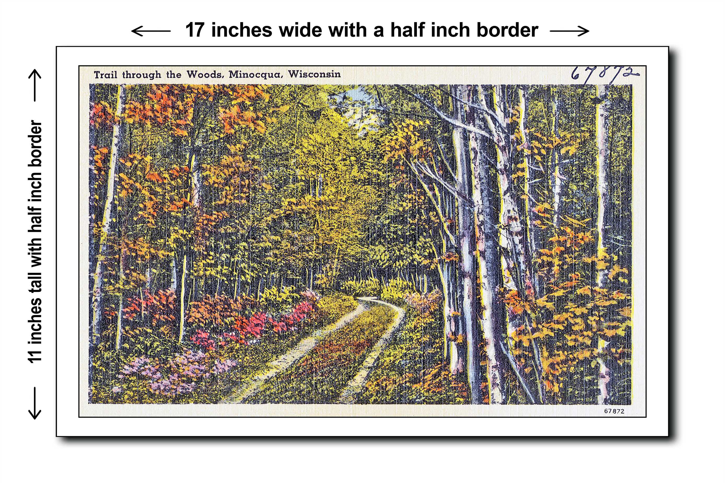 Wisconsin 1940s Postcard Art Print - Trail through the woods, Minocqua, Wisconsin - 11x17