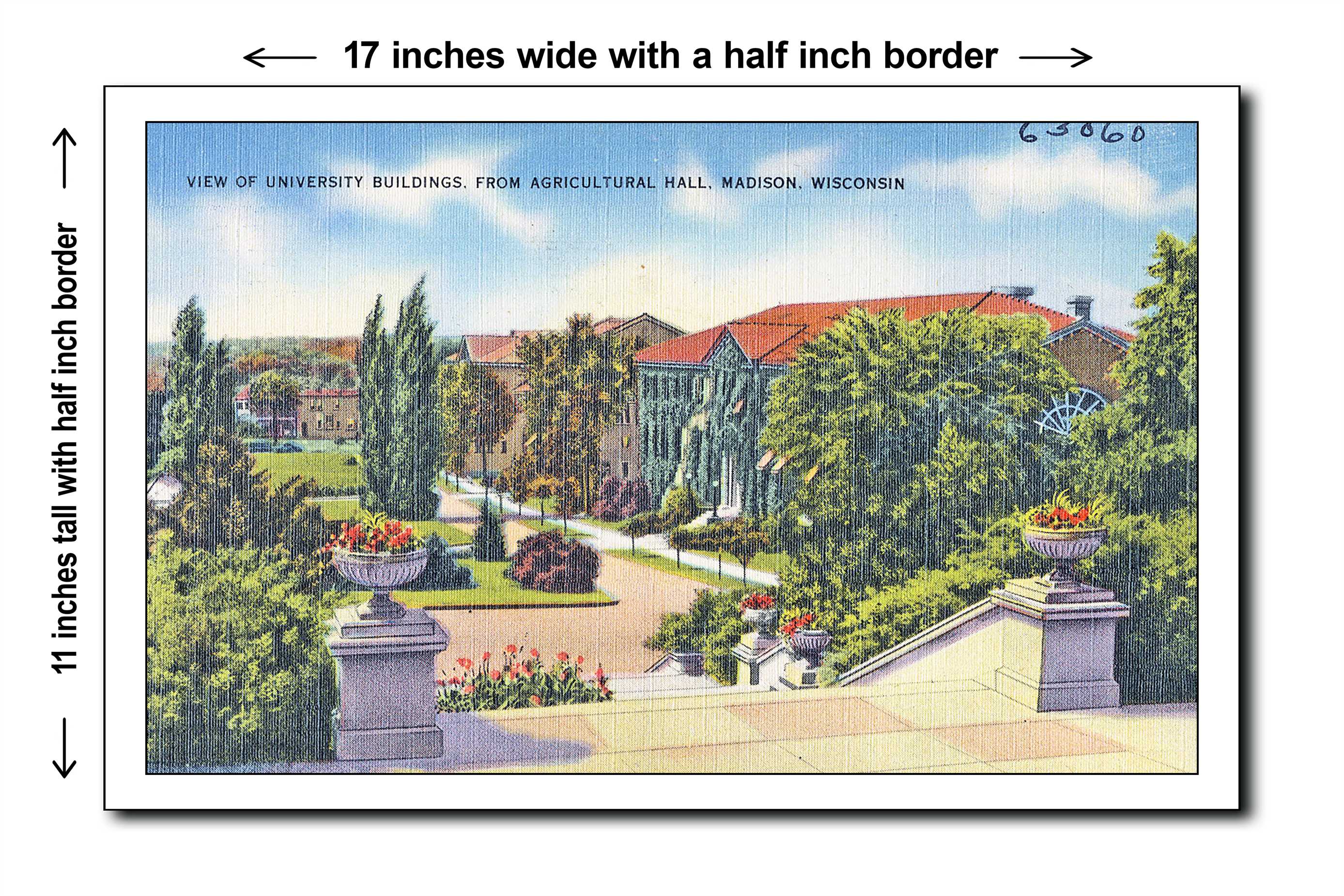 Wisconsin 1940s Postcard Art Print - View of university buildings, from Agricultur - 11x17